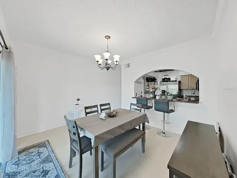 18126 Paradise Point Drive Tampa FL 33647