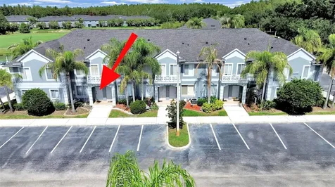 18126 Paradise Point Drive Tampa FL 33647