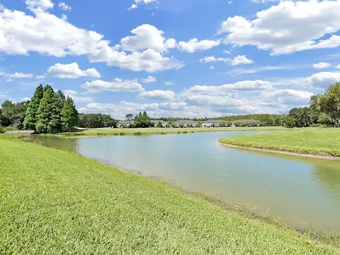 18126 Paradise Point Drive Tampa FL 33647
