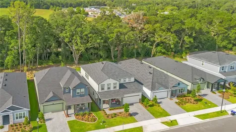5972 Sacred Oak Avenue Mount Dora FL 32757