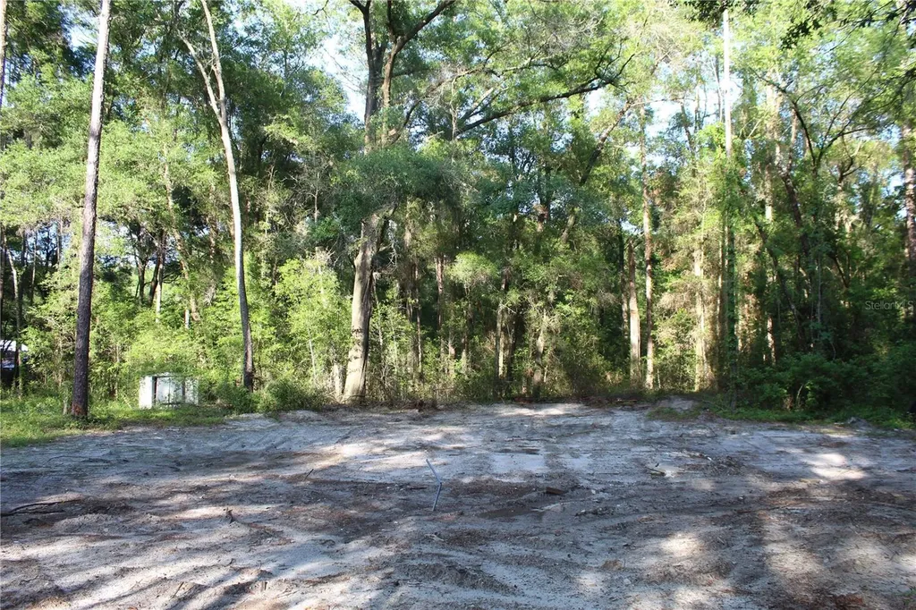 15821 SW 50th Avenue Archer FL 32618