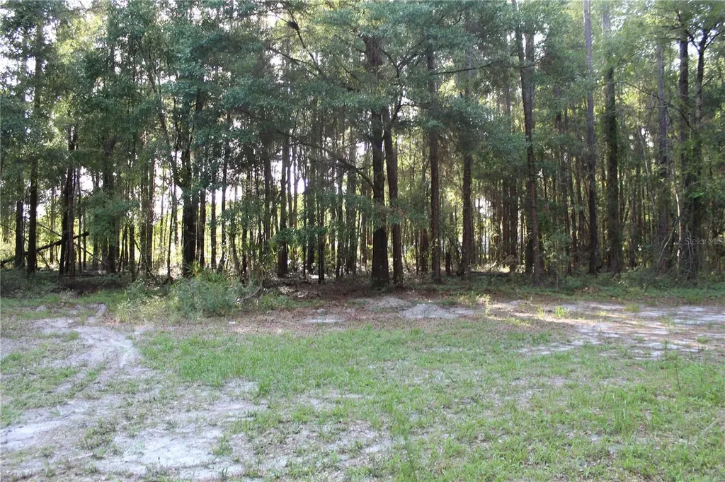 15821 SW 50th Avenue Archer FL 32618