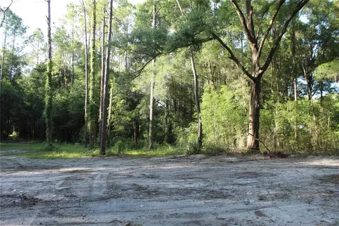 15821 SW 50th Avenue Archer FL 32618