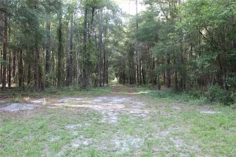 15821 SW 50th Avenue Archer FL 32618