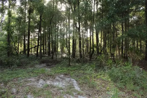 15821 SW 50th Avenue Archer FL 32618