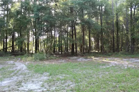 15821 SW 50th Avenue Archer FL 32618