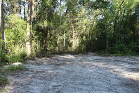 15821 SW 50th Avenue Archer FL 32618