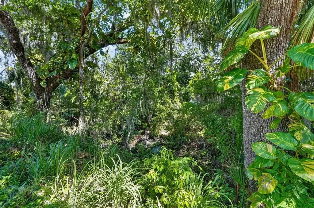 11740 Darsey Road Parrish FL 34219