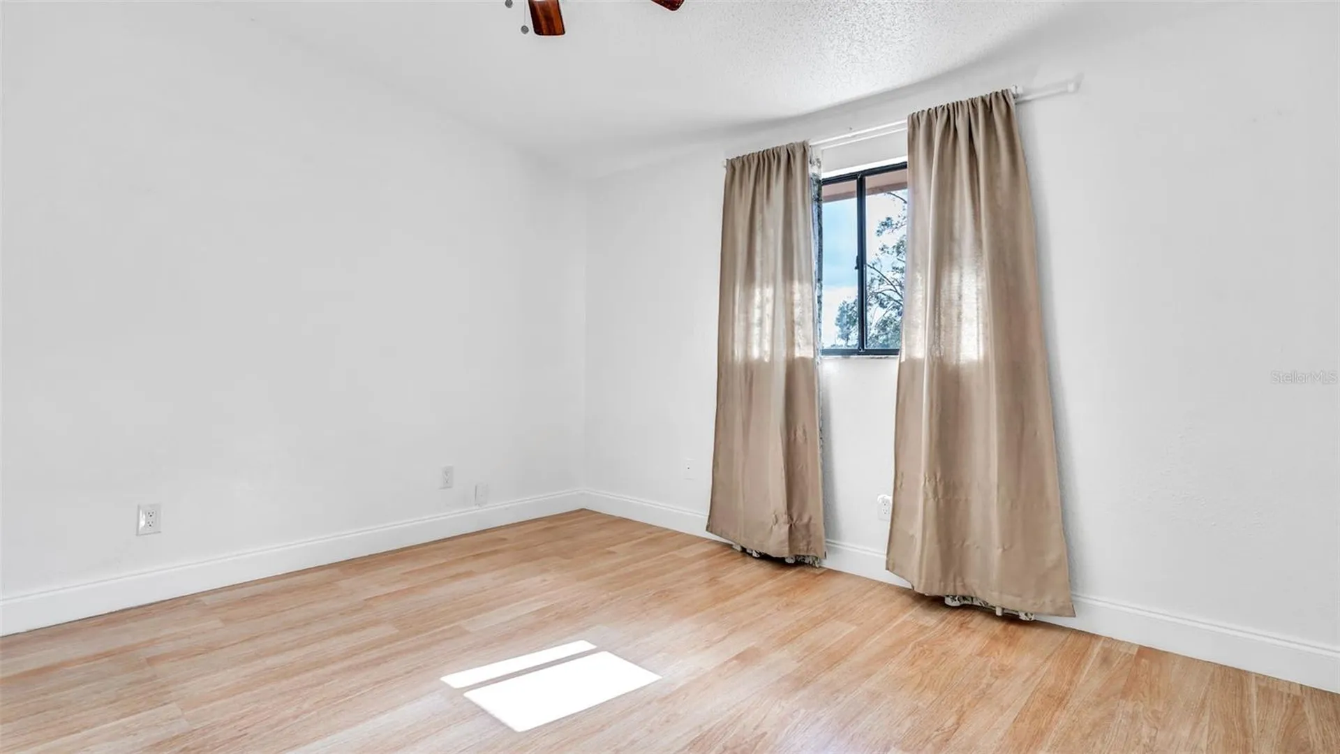 3913 Oak Limb Court Tampa FL 33614
