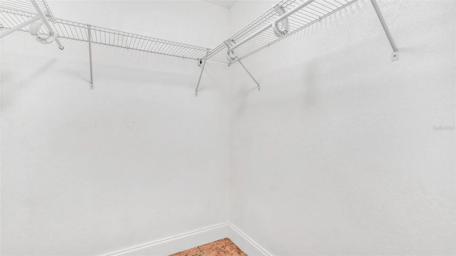 3913 Oak Limb Court Tampa FL 33614