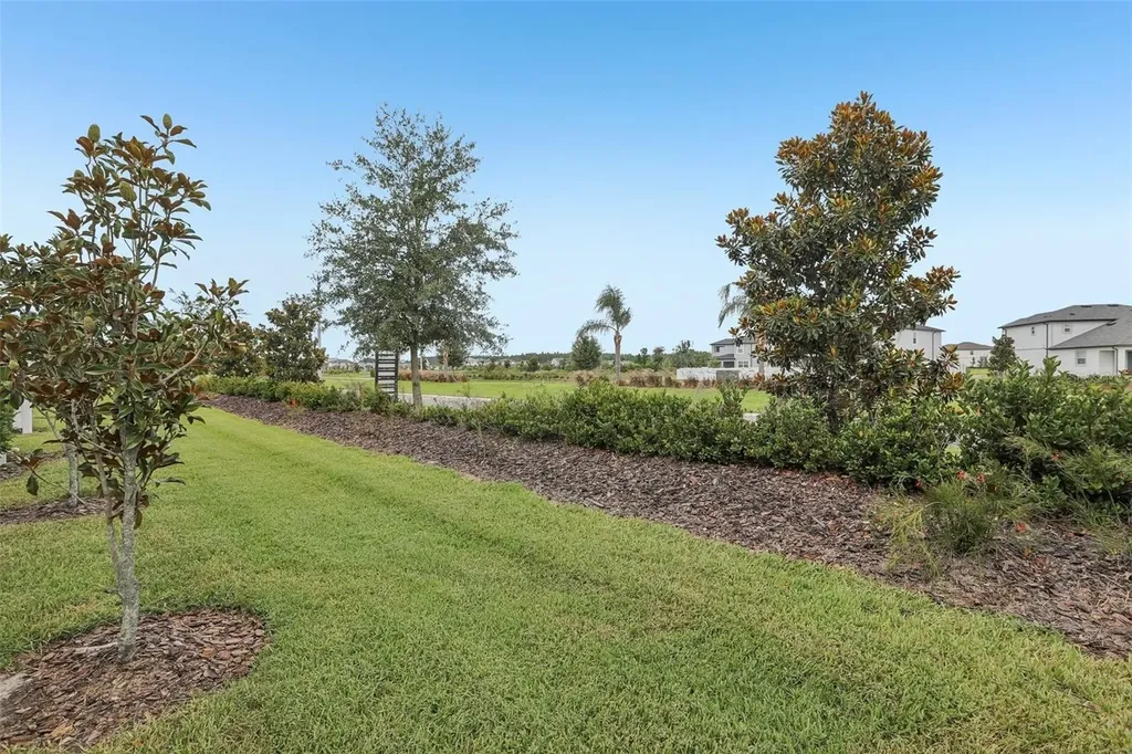31337 Amberview Bend Wesley Chapel FL 33545