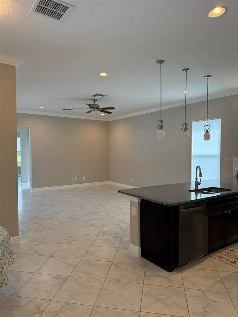 16015 Cape Coral Drive Wimauma FL 33598