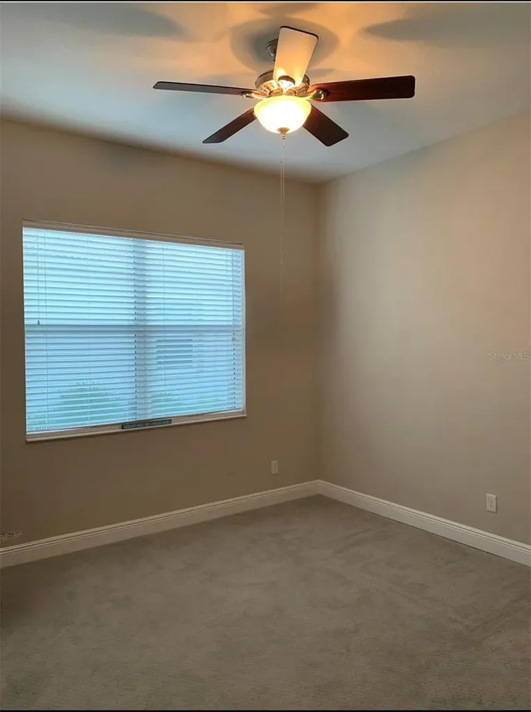16015 Cape Coral Drive Wimauma FL 33598
