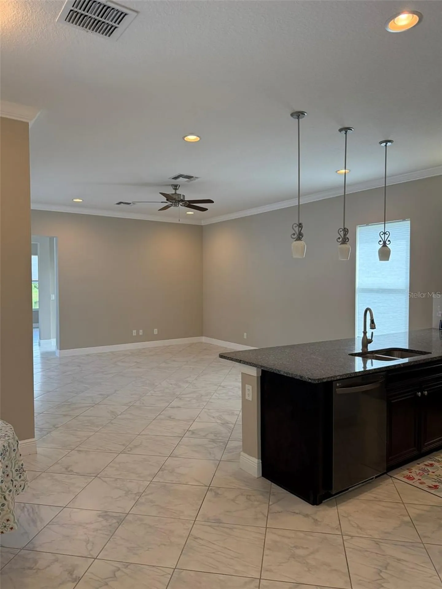 16015 Cape Coral Drive Wimauma FL 33598