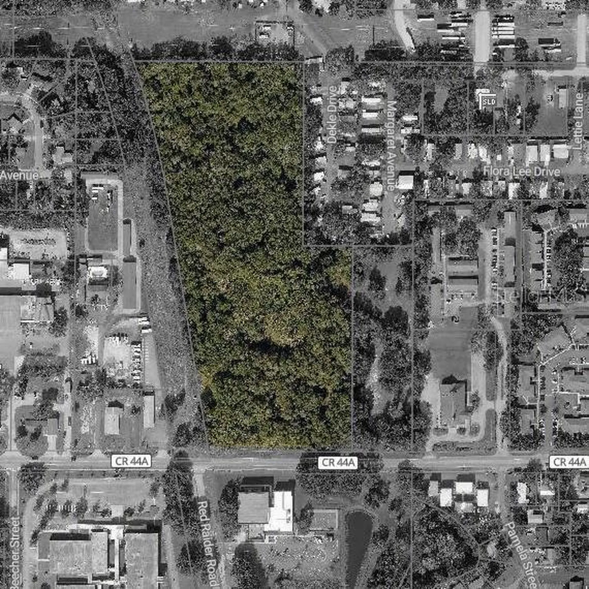 Griffin Road Leesburg FL 34748