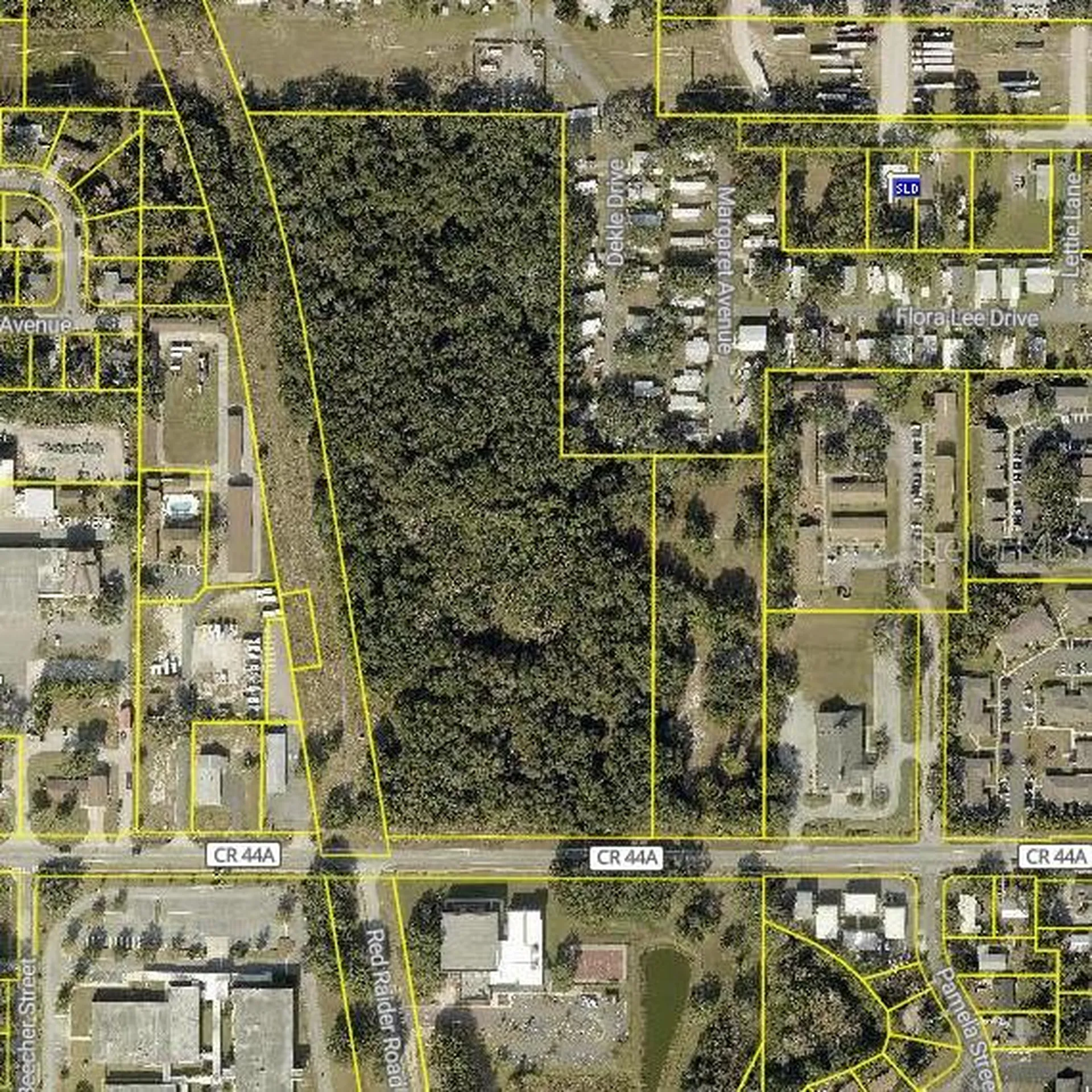 Griffin Road Leesburg FL 34748