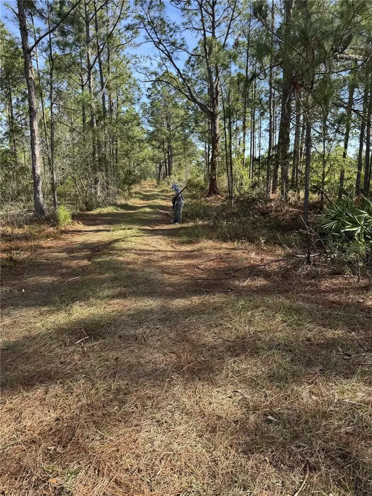 Tbd Frostproof FL 33843