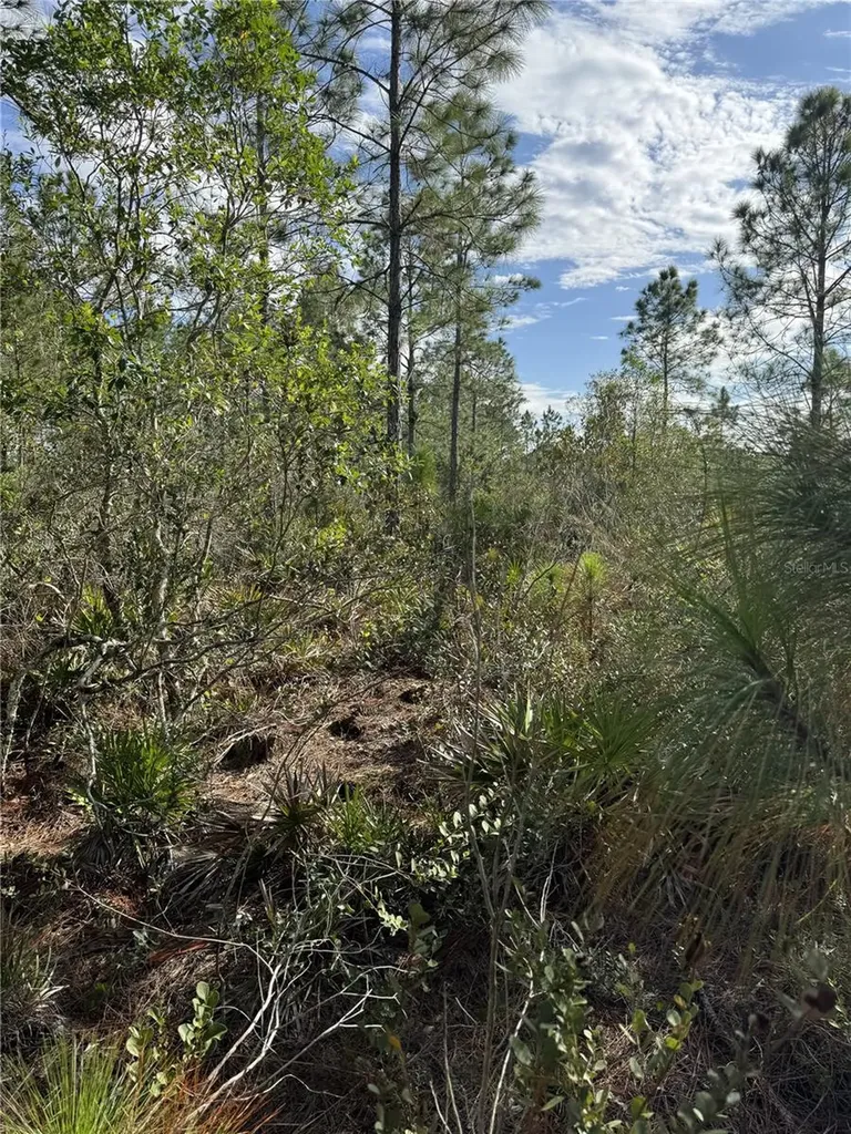Tbd Frostproof FL 33843