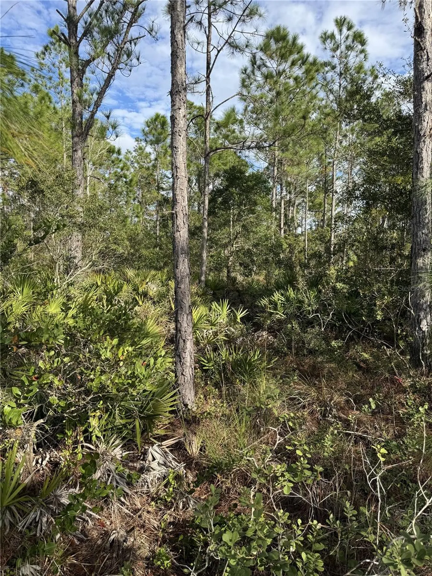 Tbd Frostproof FL 33843