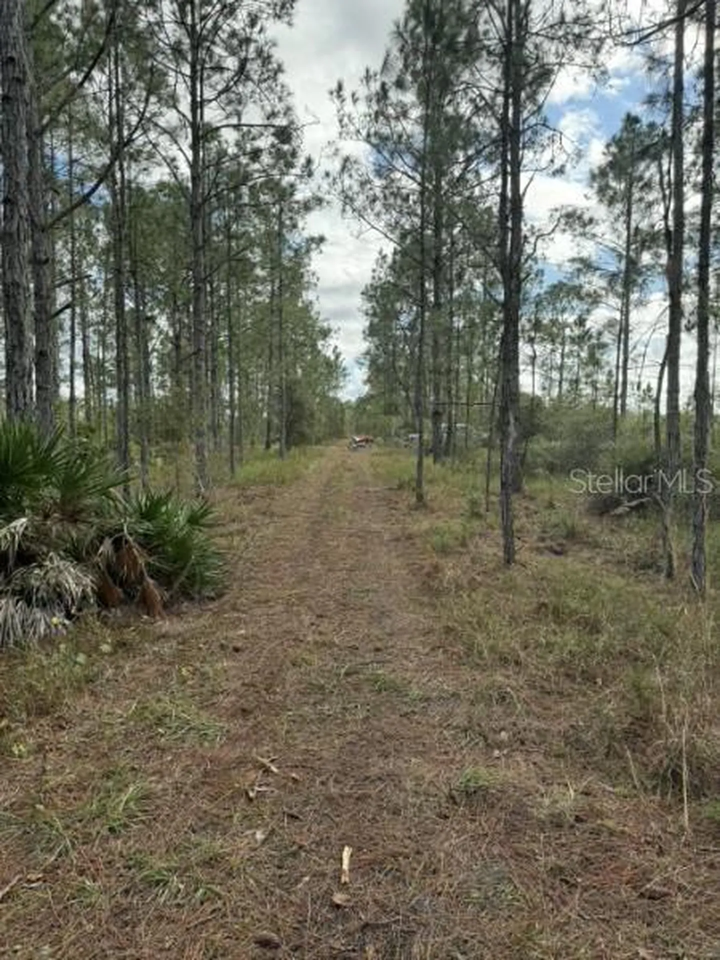 Tbd Frostproof FL 33843