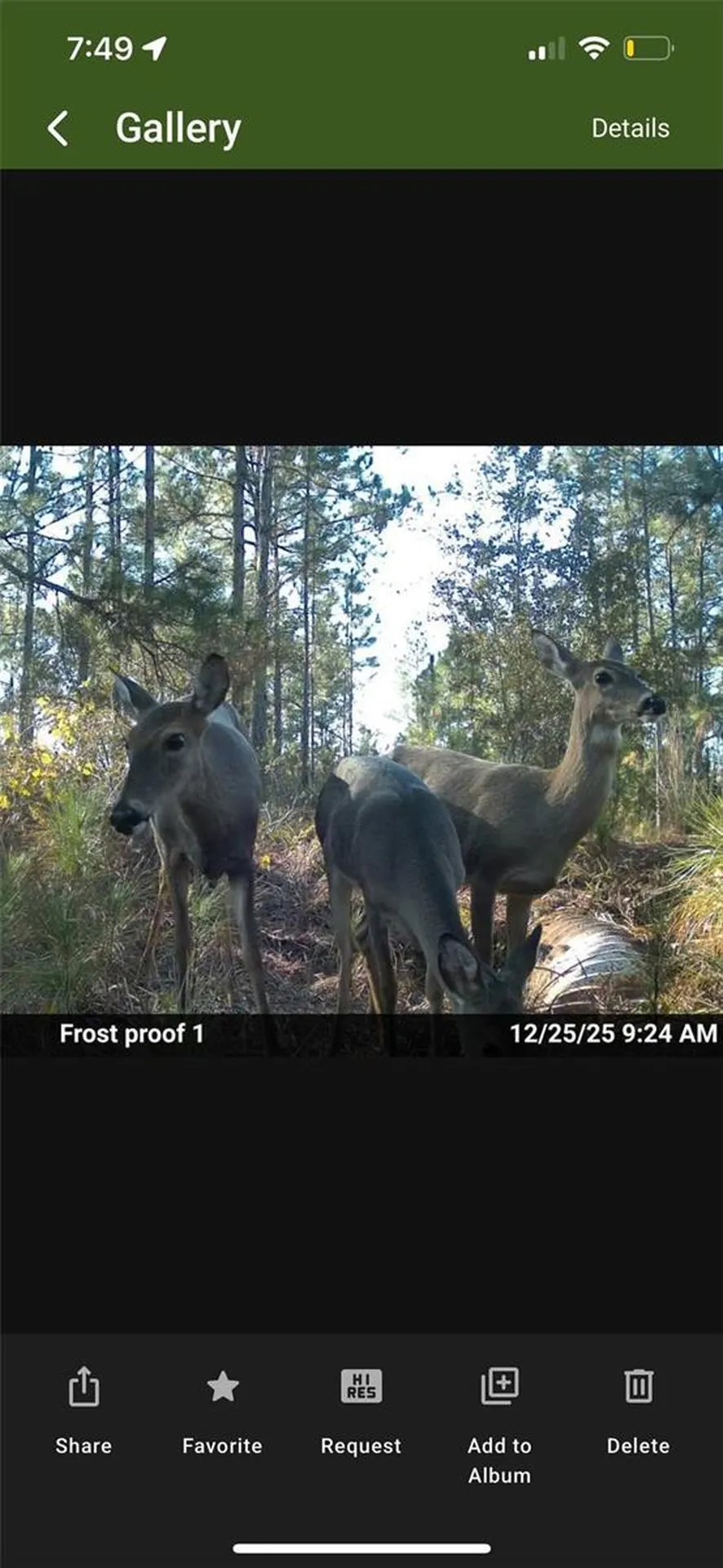 Tbd Frostproof FL 33843