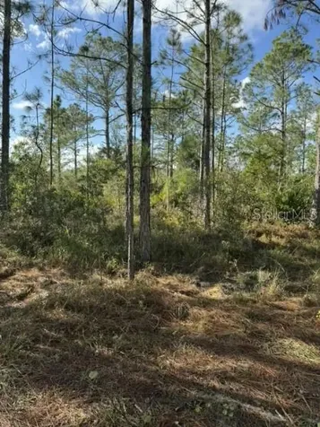 Tbd Frostproof FL 33843