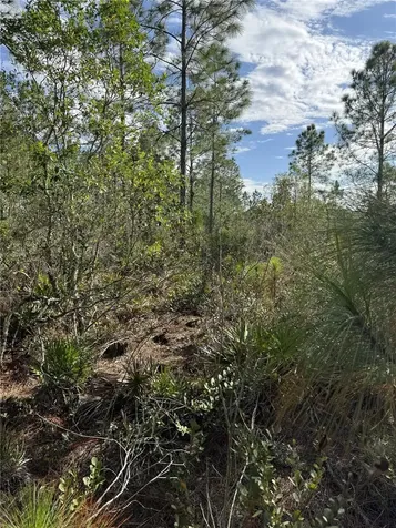 Tbd Frostproof FL 33843