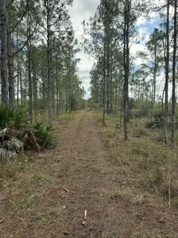 Tbd Frostproof FL 33843