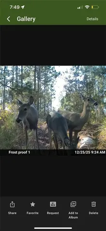 Tbd Frostproof FL 33843