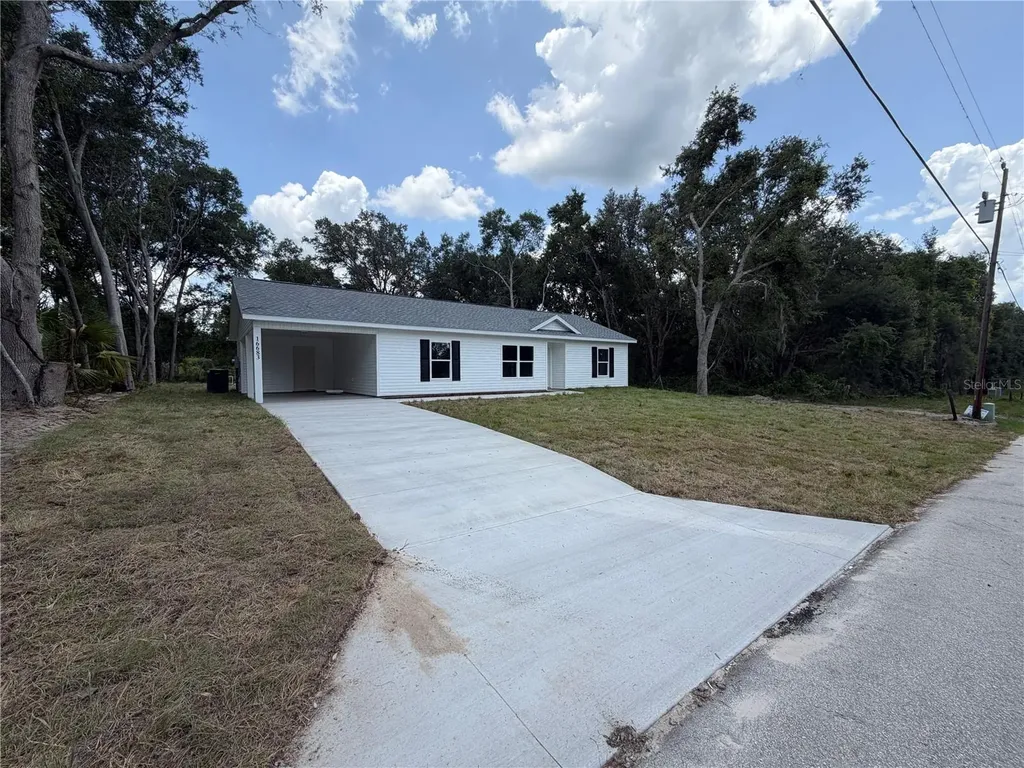 16683 SE 63 Lane Ocklawaha FL 32179