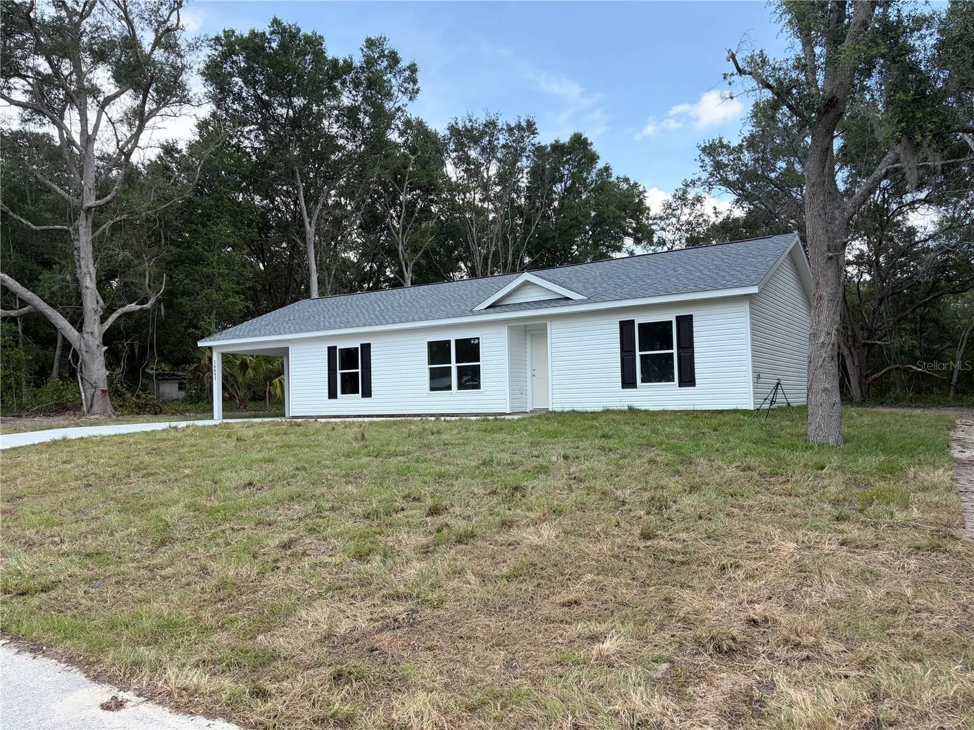 16683 SE 63 Lane Ocklawaha FL 32179