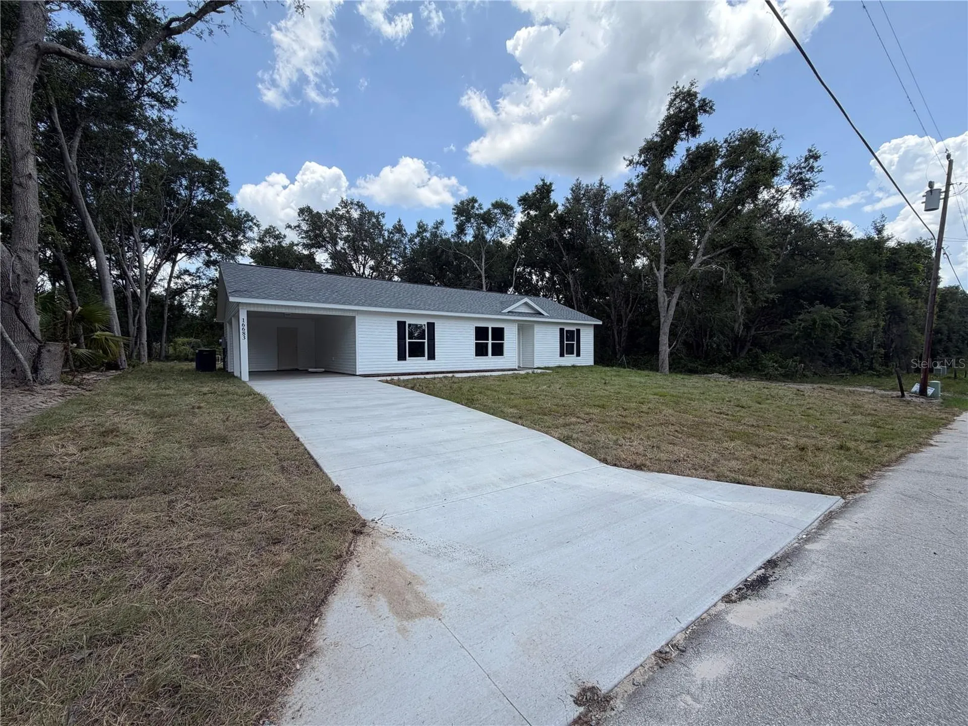 16683 SE 63 Lane Ocklawaha FL 32179