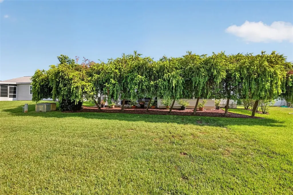 1231 Zapata Place The Villages FL 32159