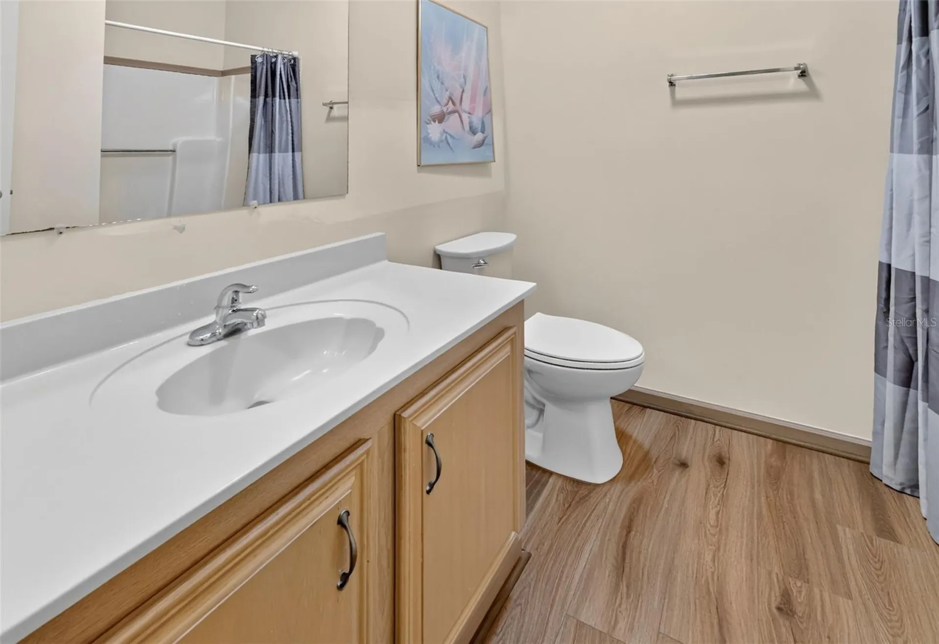 1231 Zapata Place The Villages FL 32159