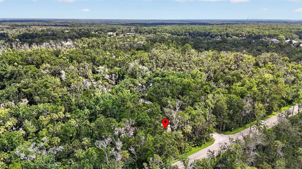 4600 S Lewoods Drive Homosassa FL 34448
