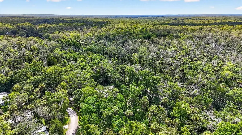 4600 S Lewoods Drive Homosassa FL 34448