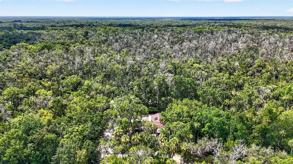 4600 S Lewoods Drive Homosassa FL 34448