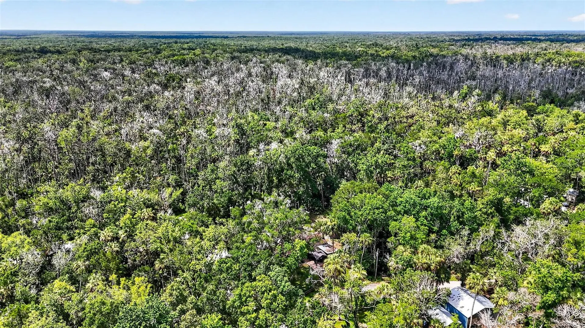 4600 S Lewoods Drive Homosassa FL 34448