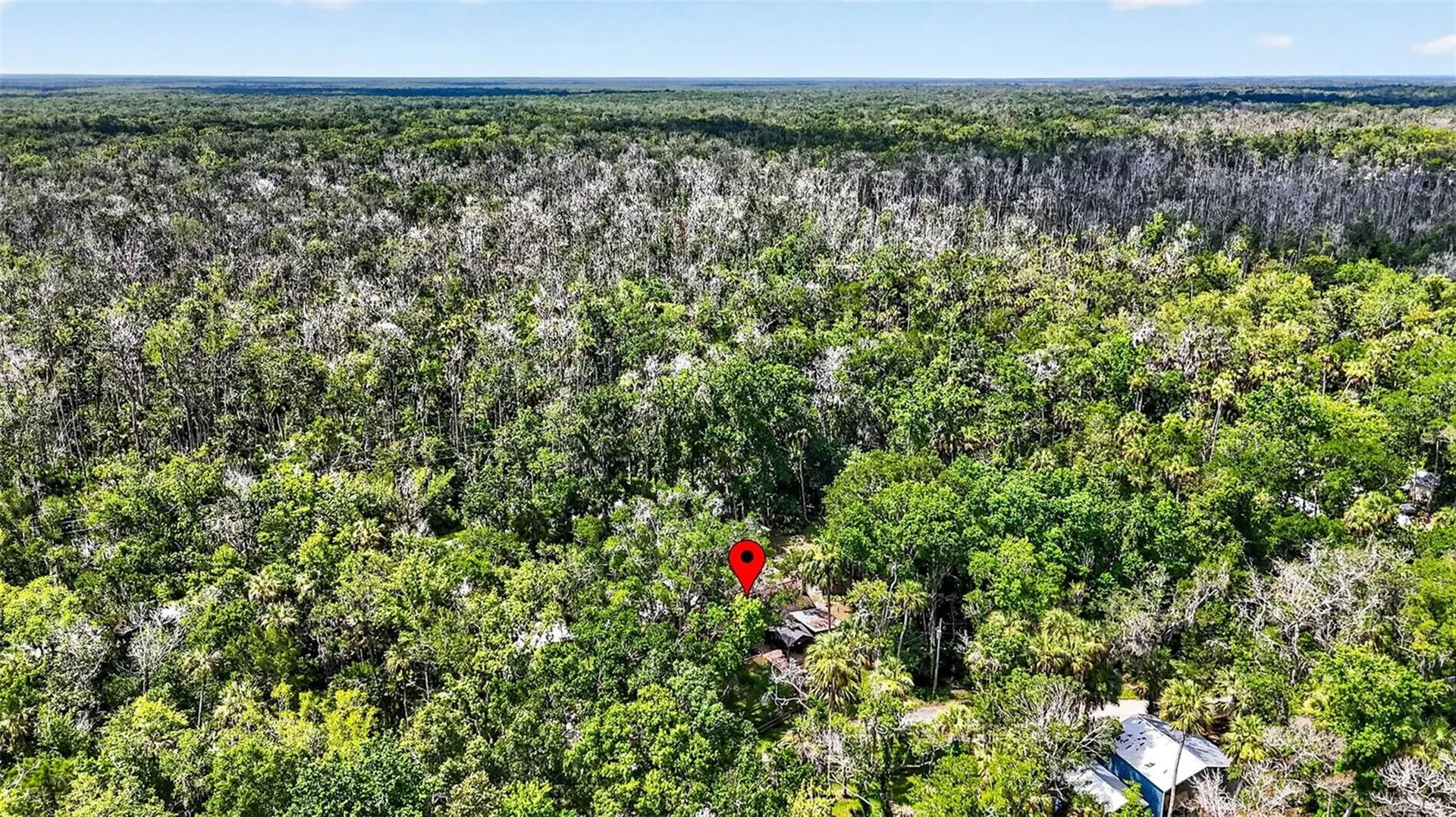 4600 S Lewoods Drive Homosassa FL 34448