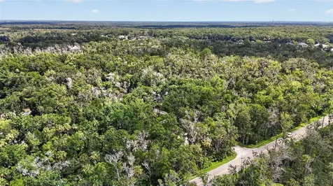4600 S Lewoods Drive Homosassa FL 34448