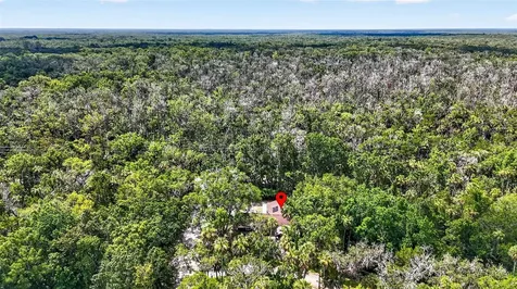 4600 S Lewoods Drive Homosassa FL 34448