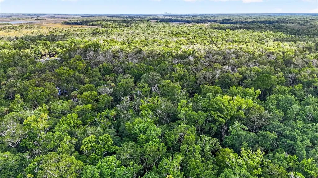 9647 W Fern Creek Terrace Homosassa FL 34448