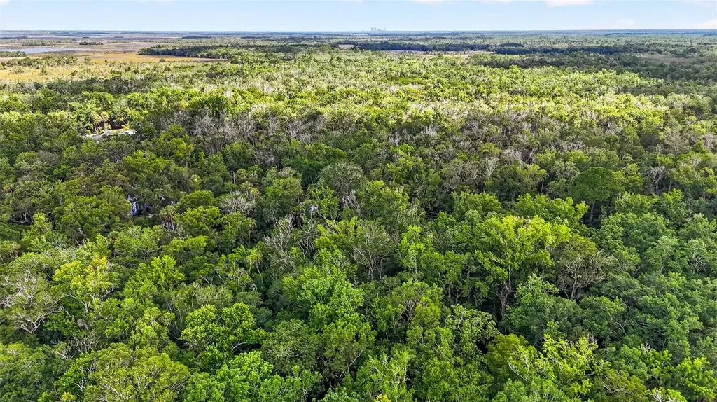 9647 W Fern Creek Terrace Homosassa FL 34448