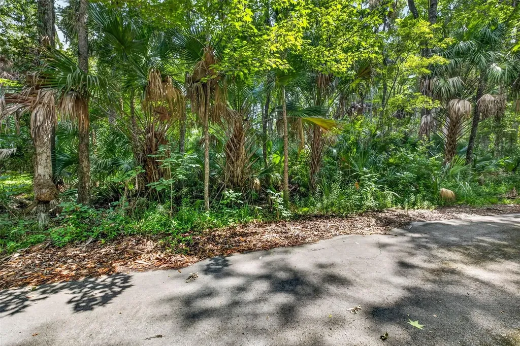 9647 W Fern Creek Terrace Homosassa FL 34448