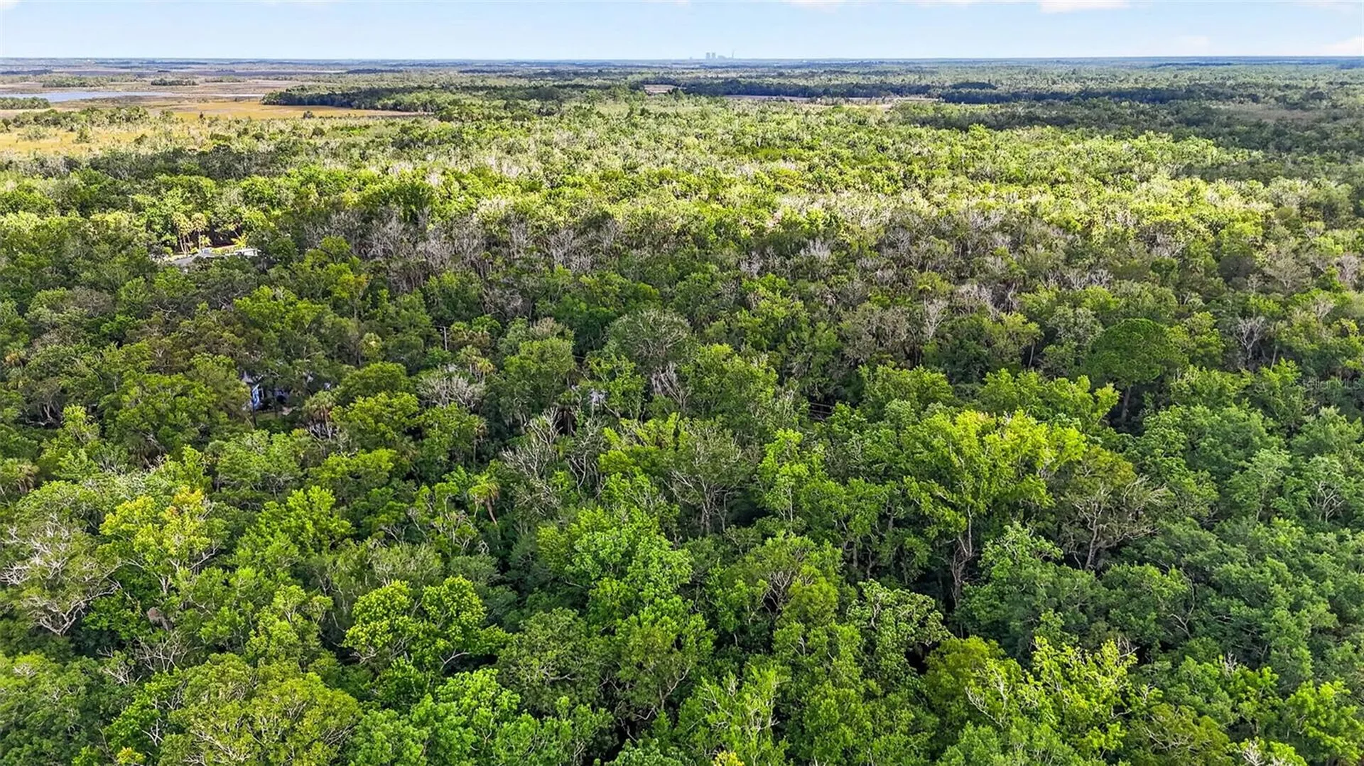 9647 W Fern Creek Terrace Homosassa FL 34448
