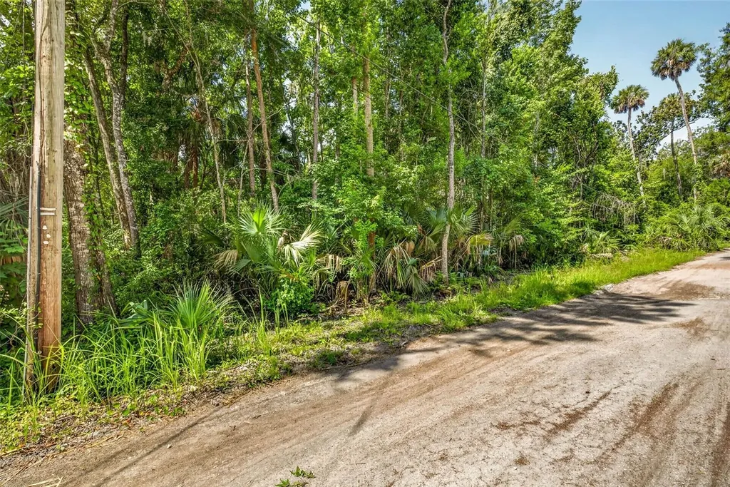 4626 S Flambeau Loop Homosassa FL 34448