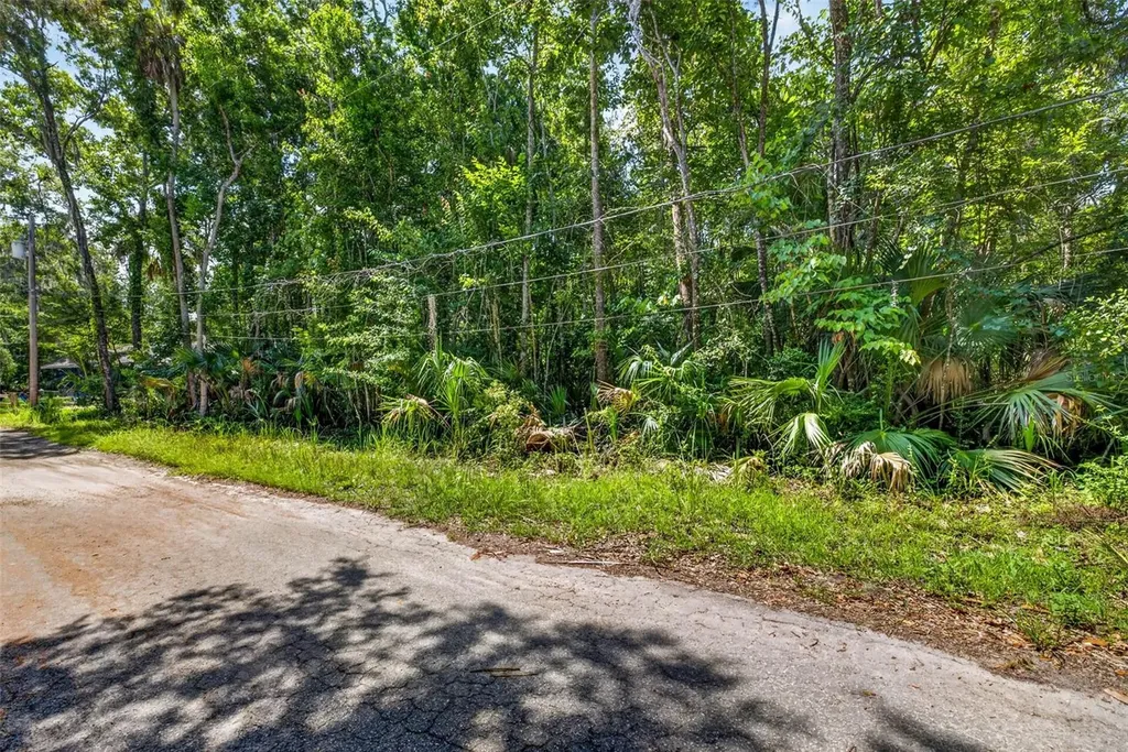 4626 S Flambeau Loop Homosassa FL 34448