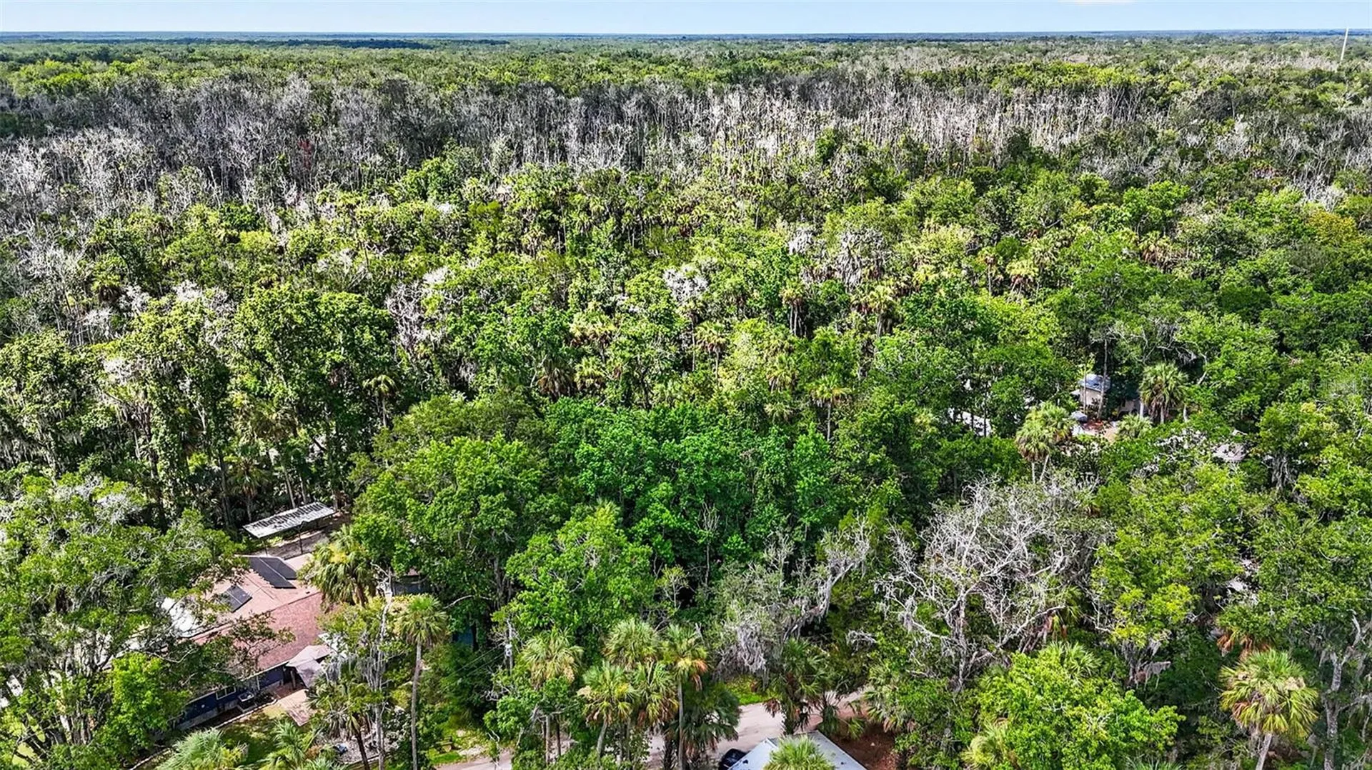 4626 S Flambeau Loop Homosassa FL 34448