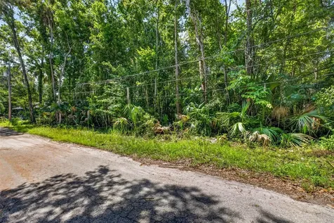 4626 S Flambeau Loop Homosassa FL 34448
