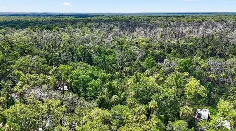 4626 S Flambeau Loop Homosassa FL 34448